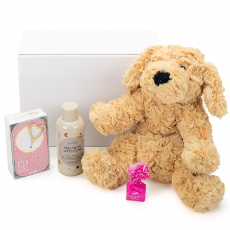 Welcome Baby Girl Gift Set