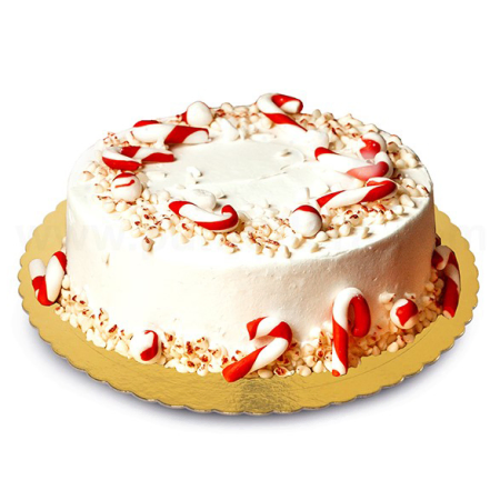 Festive Whipped Cream Christmas Cake