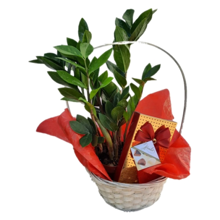 The Basket of Choice