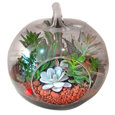 Glass Terrarium With Cactus Plants